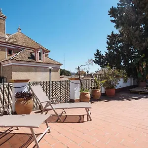 Apartment Penthouse Private Terrace, Near Cathedral, And To Real Maestranza, Seville