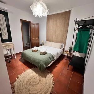 La Rana Apartamento